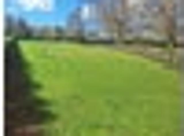Land for sale in Pukekura, Waikato
