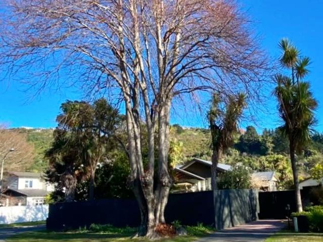 House for rent in Chaslands, Canterbury