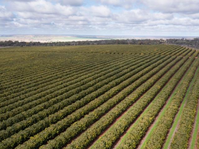 Property for sale in New South Wales