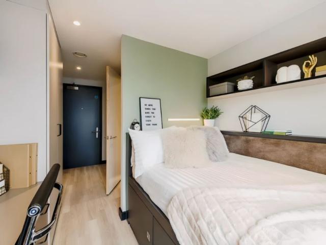 Studio for rent in Newtown, Falcon Lodge