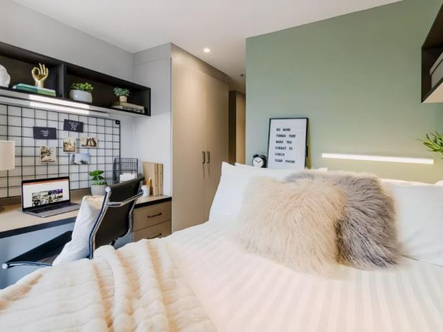 Studio for rent in Newtown, Falcon Lodge