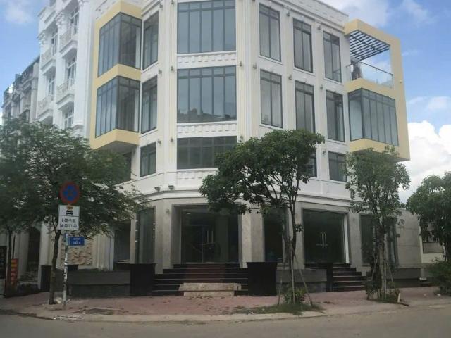 Biệt Thự cho thuê tại Hồ Chí Minh