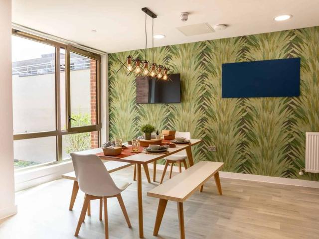 Room for rent in Round Hill, Brighton & Hove