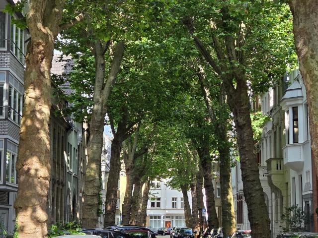 Apartment mieten in Oberkassel, Düsseldorf