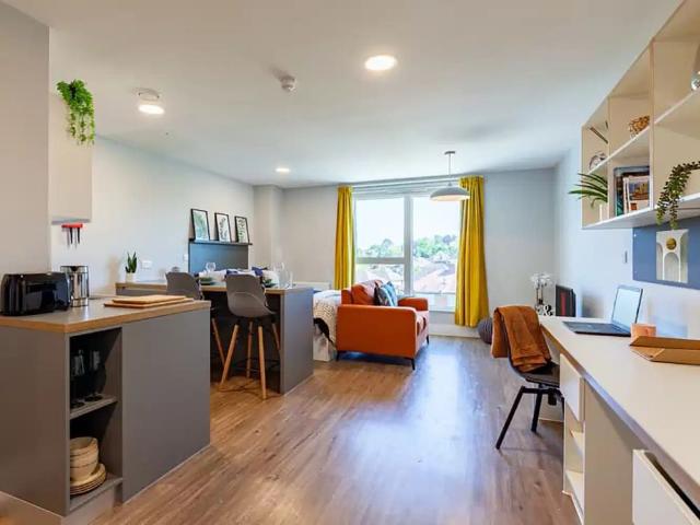 Studio for rent in Tilbury Fields, Dromore