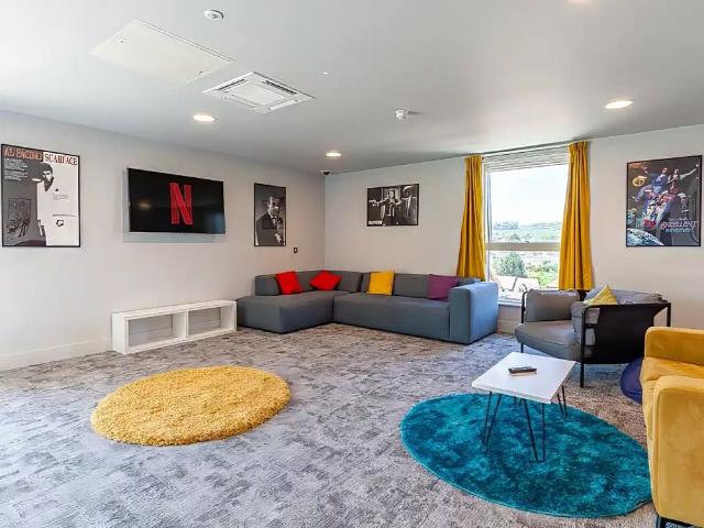 Studio for rent in Tilbury Fields, Dromore