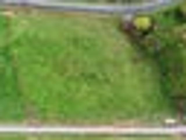 Land for sale in Putaruru, Waikato