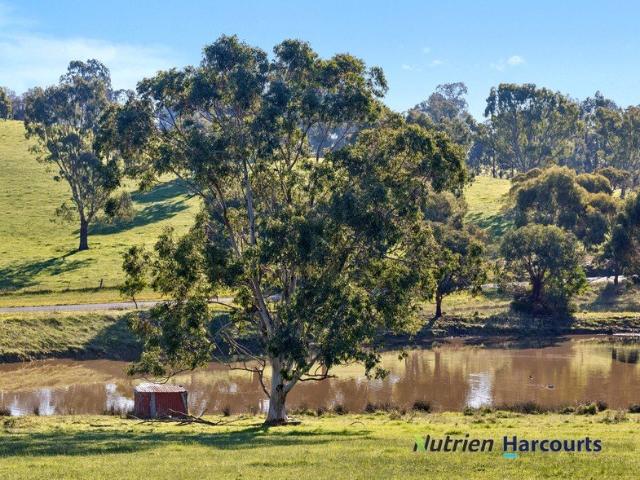 Land for sale in Killingworth, Shire of Murrindindi