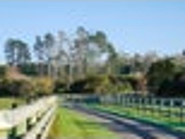Land for sale in Kawau Island