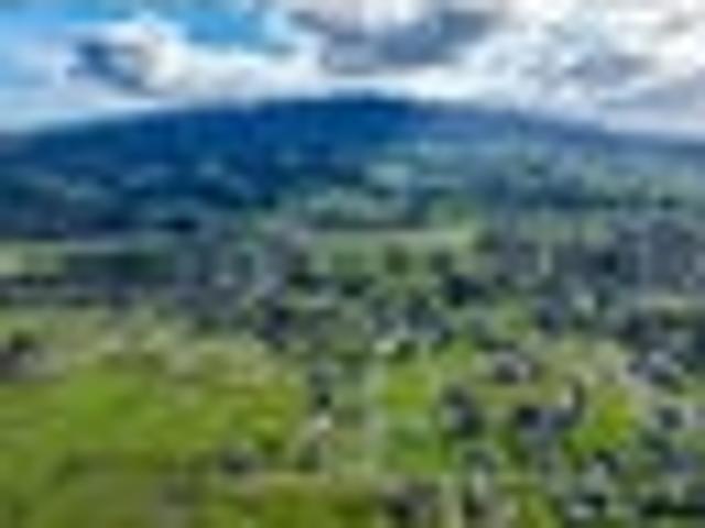 House for sale in Pirongia, Waikato