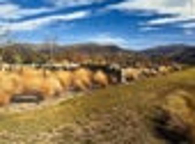 Land for sale in Otakou