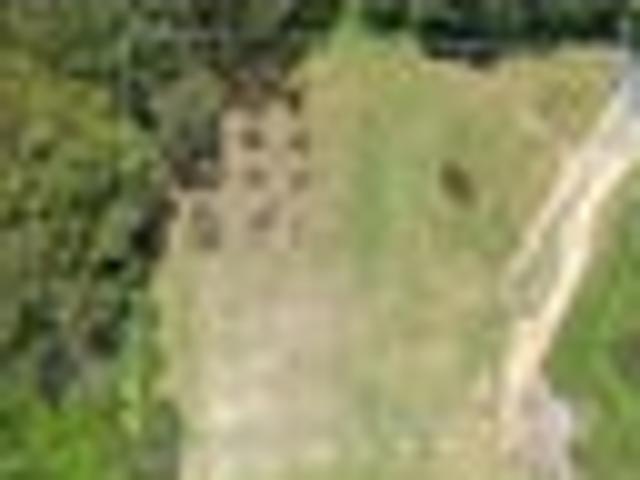 Land for sale in Bay Of Plenty