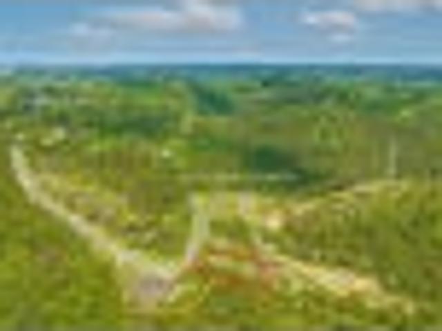 Land for sale in Kawau Island