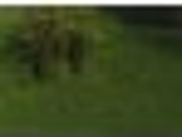 Land for sale in East Coast