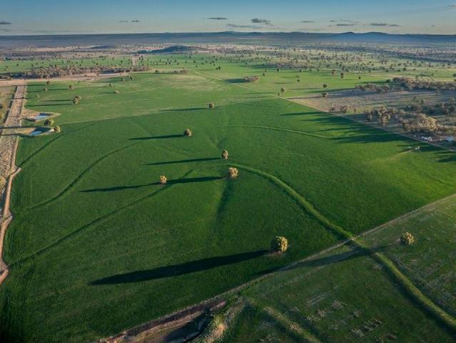 Cottage for sale in Yarrabandai, New South Wales