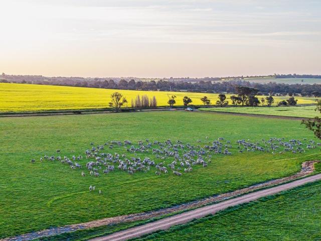 Cottage for sale in Kendenup, Western Australia