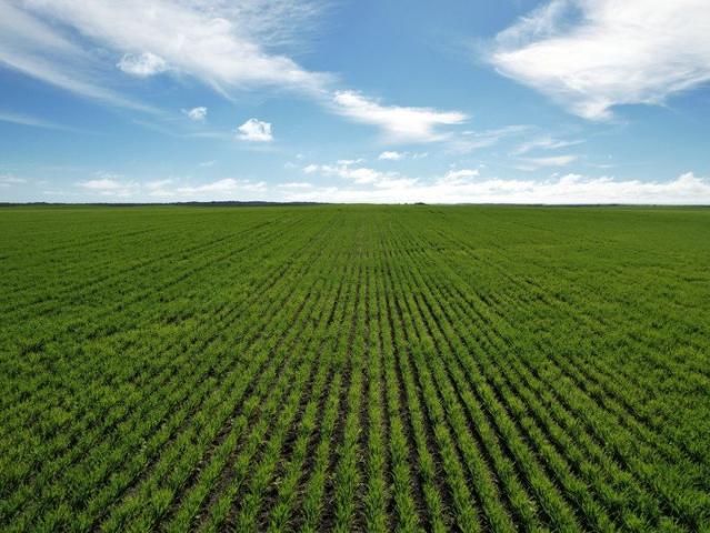 Cottage for sale in Corny Point, South Australia