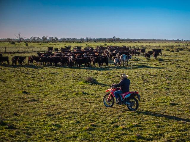 Cottage for sale in Quambone, Coonamble Shire Council