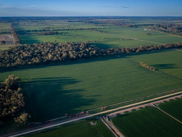 Cottage for sale in Narromine, New South Wales