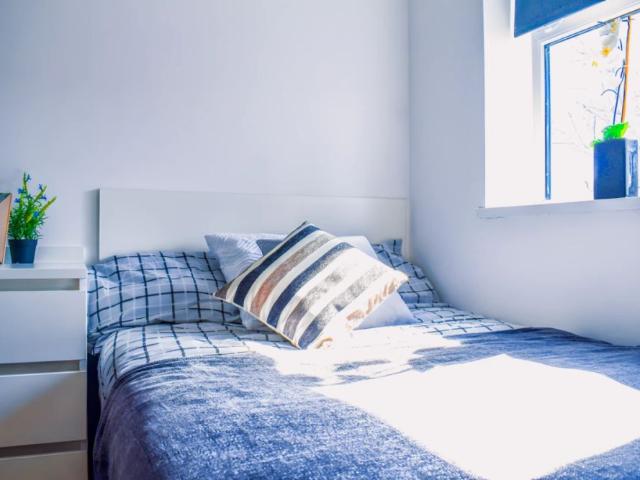 Room for rent in Canning / Georgian Quarter, Calderstones