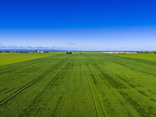 Property for sale in Pinkerton Plains, South Australia