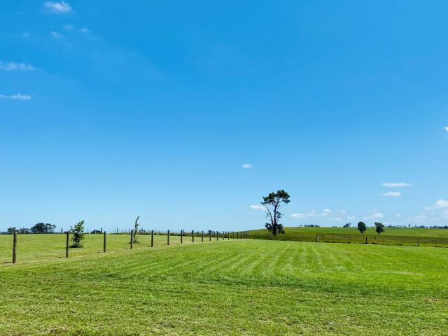 Property for sale in Nicholson, Victoria