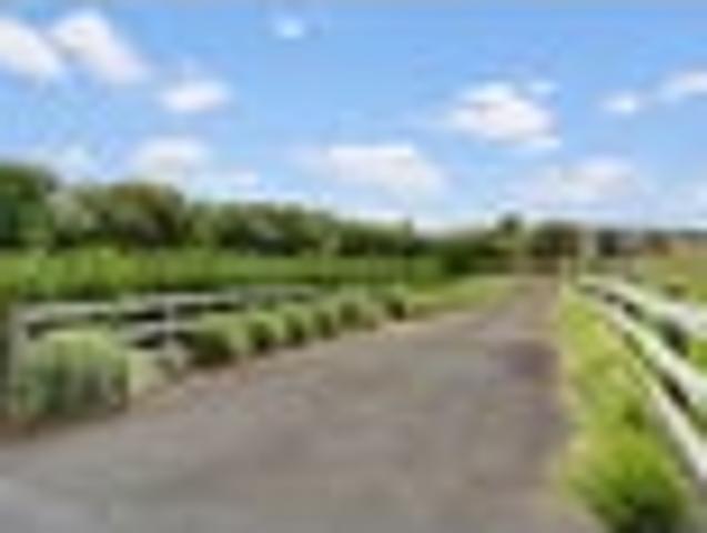 Land for sale in Awhitu