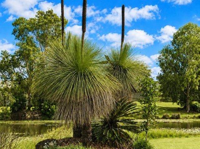 Land for sale in Kilcoy, Queensland