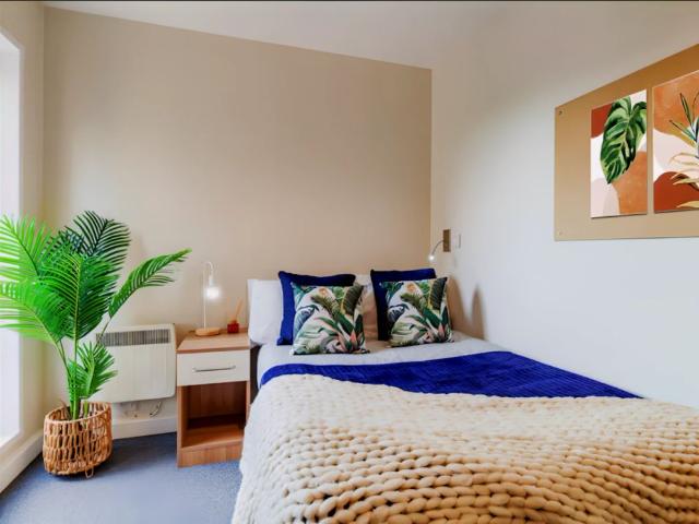 Room for rent in Reading