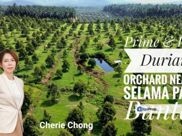 Shop for sale in Ladang Paya Serdang, Kedah