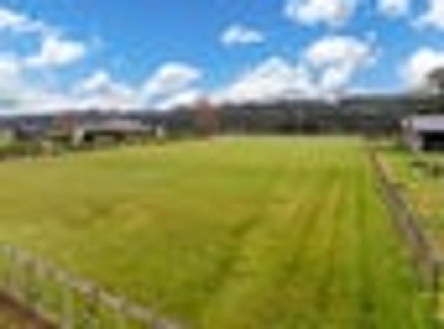 Land for sale in Waikato