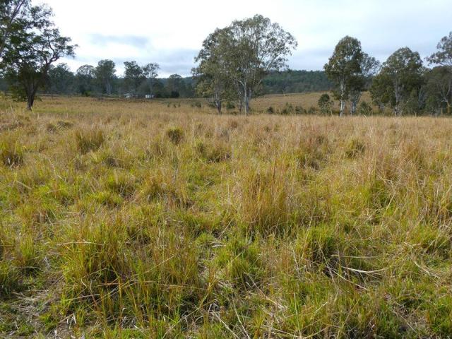 Cottage for sale in Lower Duck Creek, Kyogle Council