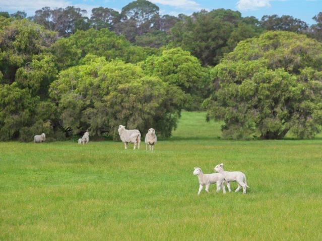Land for sale in Kudardup, Western Australia
