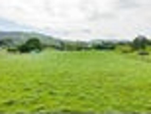 Land for sale in Pukekura, Waikato