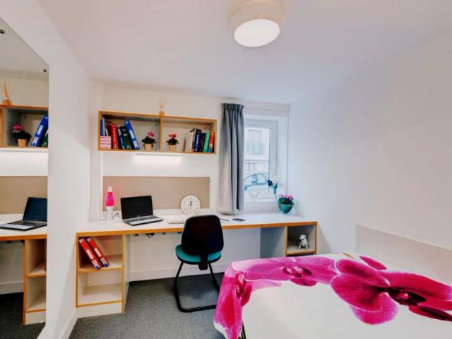 Studio for rent in Greenbank, Mount Wise