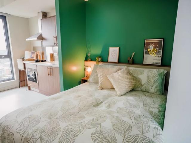 Studio for rent in Calthorpe Fields, West Midlands