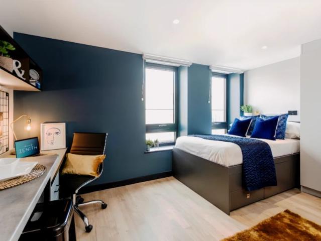Studio for rent in Newtown, Falcon Lodge