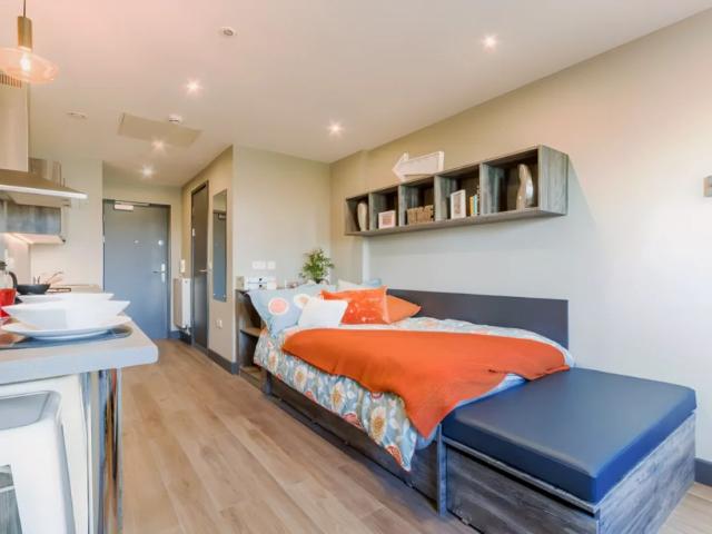 Studio for rent in Falcon Lodge, Wales