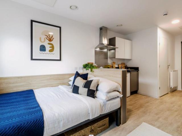 Studio for rent in Calthorpe Fields, West Midlands