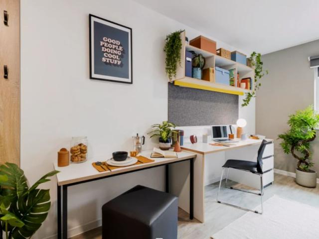 Studio for rent in Calthorpe Fields, West Midlands