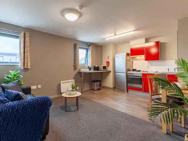 Studio for rent in Reading