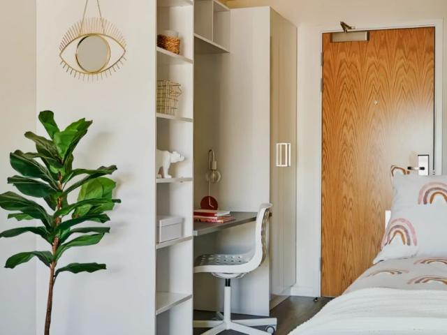 Studio for rent in Greenbank, Mount Wise