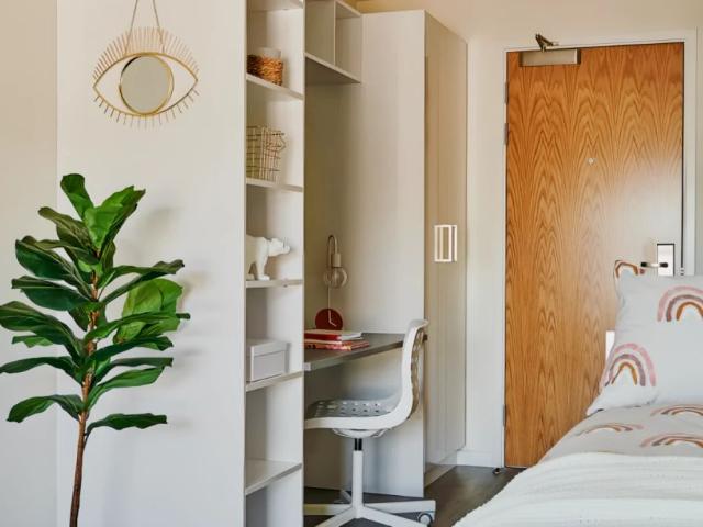Studio for rent in Greenbank, Mount Wise