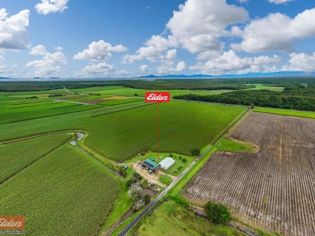 Cottage for sale in Lower Tully, Queensland