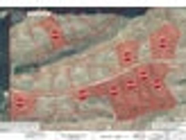 Land for sale in Tasman