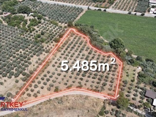 Torbali, İzmir içerisinde satılık Arsa