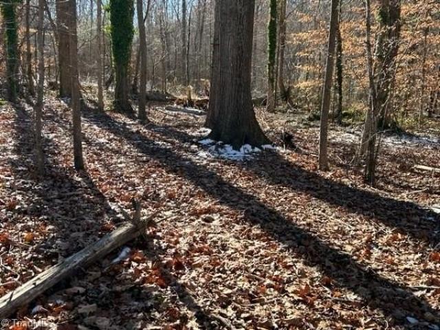 Land for sale in Greensboro