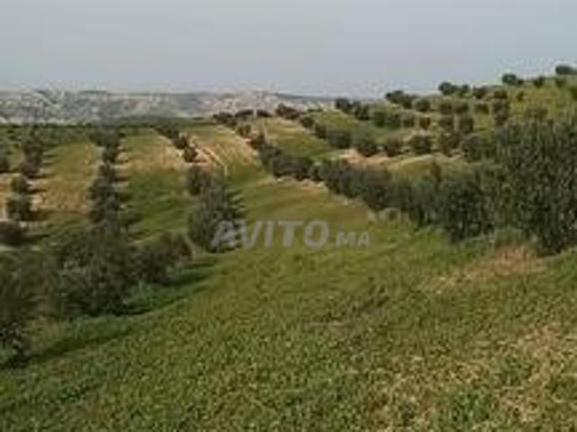 Propriété vente à Meknès