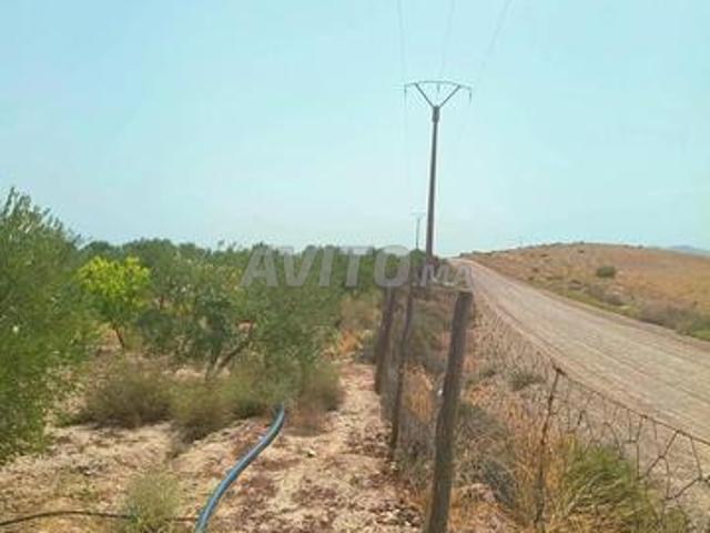 Propriété vente à Préfecture de Marrakech عمالة مراكش, Marrakech-Safi ⵎⵕⵕⴰⴽⵛ-ⴰⵙⴼⵉ مراكش-أسفي