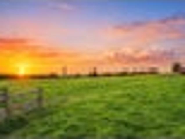 Land for sale in Franklin, Awhitu